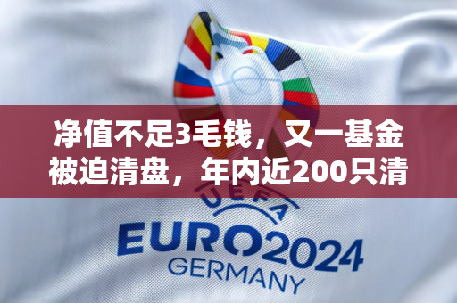 净值不足3毛钱，又一基金被迫清盘，年内近200只清盘