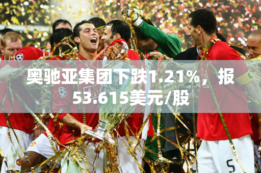 奥驰亚集团下跌1.21%，报53.615美元/股