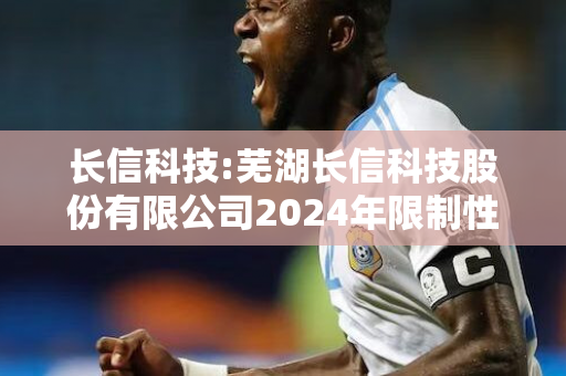 长信科技:芜湖长信科技股份有限公司2024年限制性股票激励计划管理办法