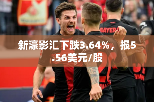 新濠影汇下跌3.64%，报5.56美元/股