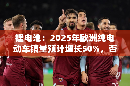 锂电池：2025年欧洲纯电动车销量预计增长50%，否则行业罚款将达150亿欧元