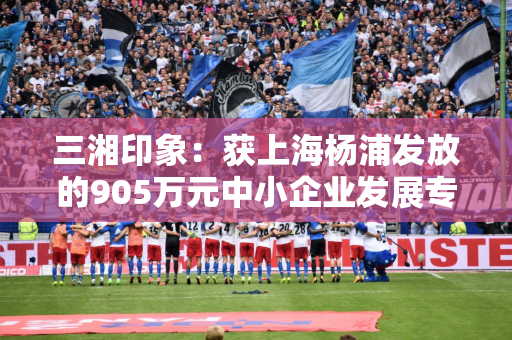 三湘印象：获上海杨浦发放的905万元中小企业发展专项资金