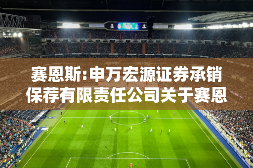 赛恩斯:申万宏源证券承销保荐有限责任公司关于赛恩斯环保股份有限公司2024年半年度持续督导跟踪报告