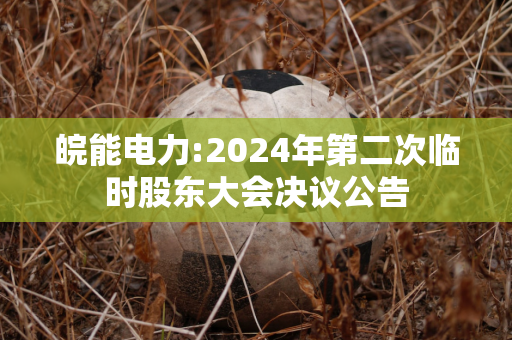 皖能电力:2024年第二次临时股东大会决议公告