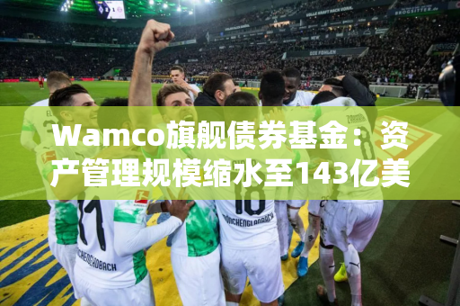 Wamco旗舰债券基金：资产管理规模缩水至143亿美元