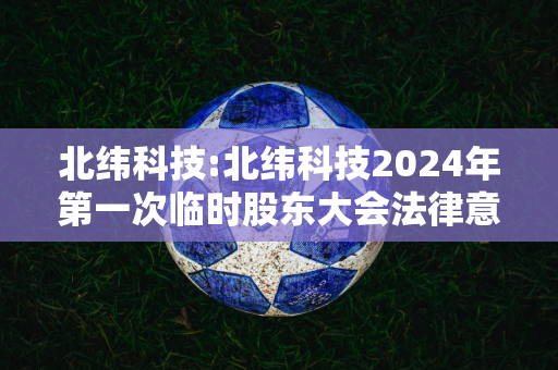 北纬科技:北纬科技2024年第一次临时股东大会法律意见书