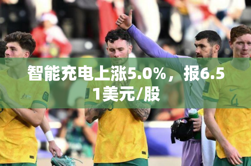 智能充电上涨5.0%，报6.51美元/股