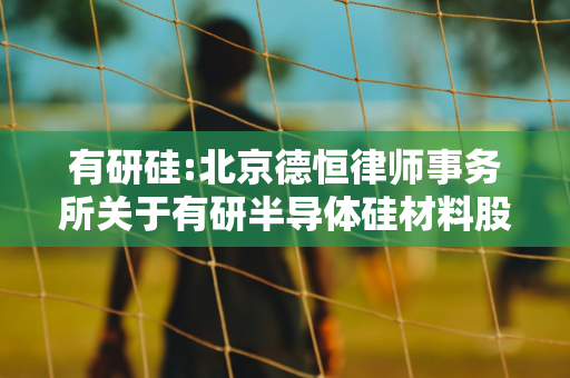 有研硅:北京德恒律师事务所关于有研半导体硅材料股份公司2024年股票期权激励计划（草案）的法律意见书