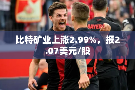 比特矿业上涨2.99%，报2.07美元/股