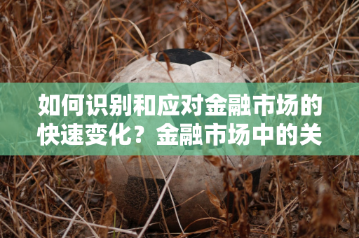 如何识别和应对金融市场的快速变化？金融市场中的关键指标有哪些参考价值？