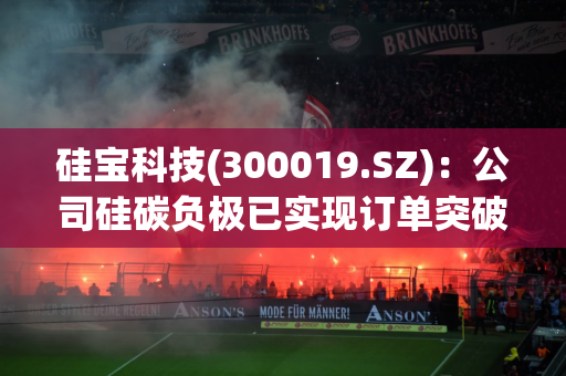 硅宝科技(300019.SZ)：公司硅碳负极已实现订单突破