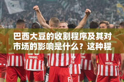 巴西大豆的收割程序及其对市场的影响是什么？这种程序节点如何影响供需平衡？