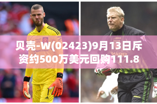 贝壳-W(02423)9月13日斥资约500万美元回购111.83万股