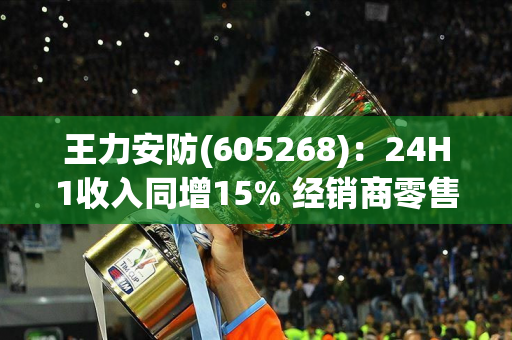 王力安防(605268)：24H1收入同增15% 经销商零售渠道表现亮眼