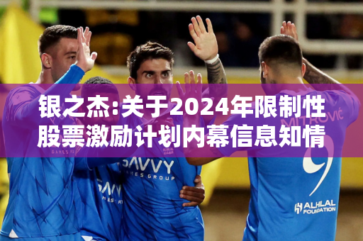 银之杰:关于2024年限制性股票激励计划内幕信息知情人买卖公司股票的自查报告