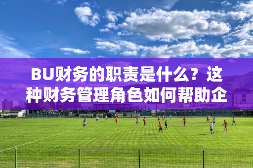 BU财务的职责是什么？这种财务管理角色如何帮助企业进行资金规划？