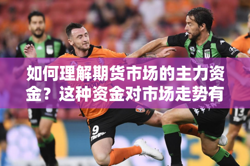 如何理解期货市场的主力资金？这种资金对市场走势有什么影响？