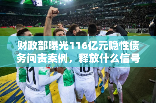 财政部曝光116亿元隐性债务问责案例，释放什么信号？