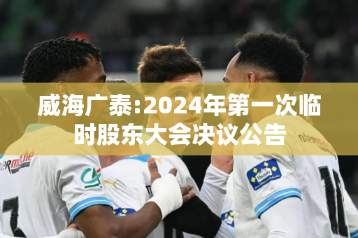 威海广泰:2024年第一次临时股东大会决议公告