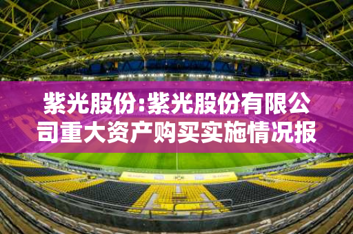 紫光股份:紫光股份有限公司重大资产购买实施情况报告书