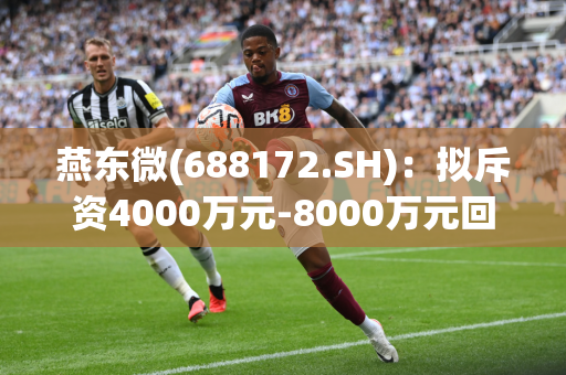 燕东微(688172.SH)：拟斥资4000万元-8000万元回购股份