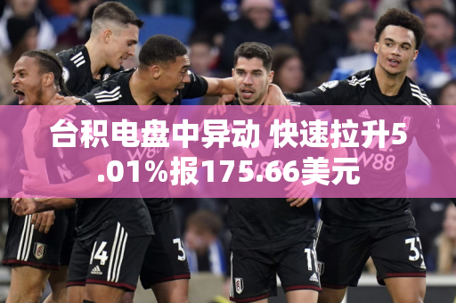 台积电盘中异动 快速拉升5.01%报175.66美元