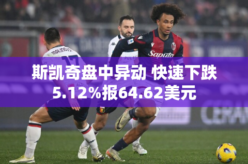 斯凯奇盘中异动 快速下跌5.12%报64.62美元