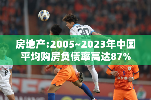 房地产:2005~2023年中国平均购房负债率高达87%