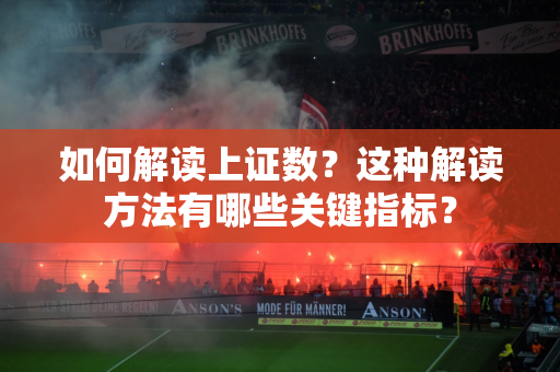 如何解读上证数？这种解读方法有哪些关键指标？