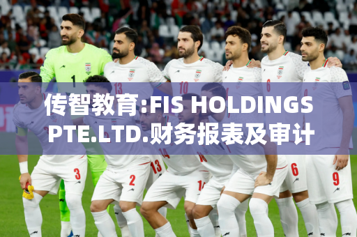 传智教育:FIS HOLDINGS PTE.LTD.财务报表及审计报告（2024年1月1日至2024年6月30日止期间及2023年度）