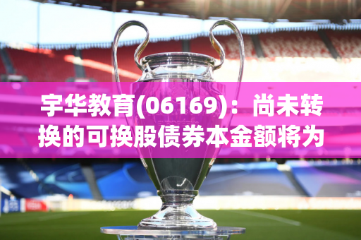 宇华教育(06169)：尚未转换的可换股债券本金额将为约9.14亿港元