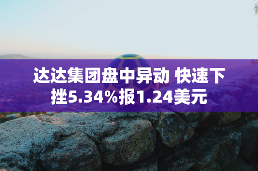 达达集团盘中异动 快速下挫5.34%报1.24美元