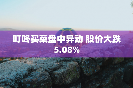 叮咚买菜盘中异动 股价大跌5.08%