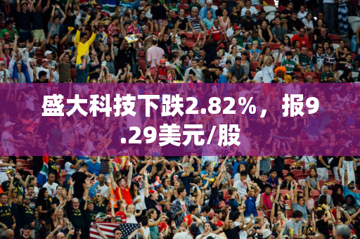 盛大科技下跌2.82%，报9.29美元/股