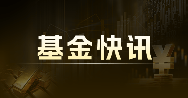 中信建投质选成长混合发起式A：净值0.9532元，增长0.54%，近3个月收益率-9.33%